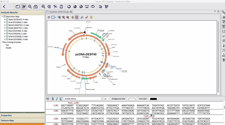 Vecotor NTIファイルをSnapGeneで開く